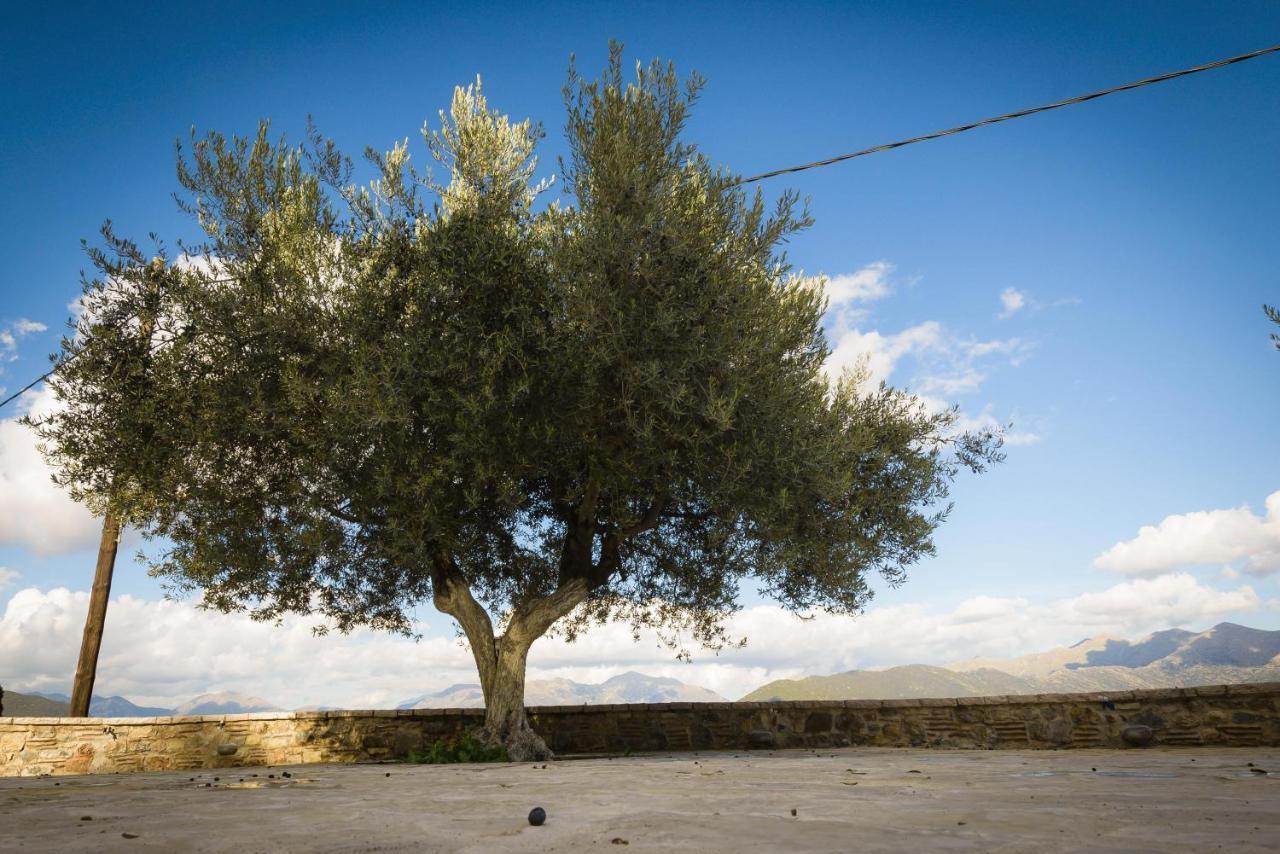 LevídhionΑρχοντικό Γκιντώνη公寓 外观 照片